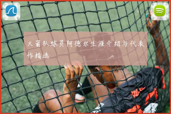 火箭队球员阿德尔生涯介绍与代表作精选