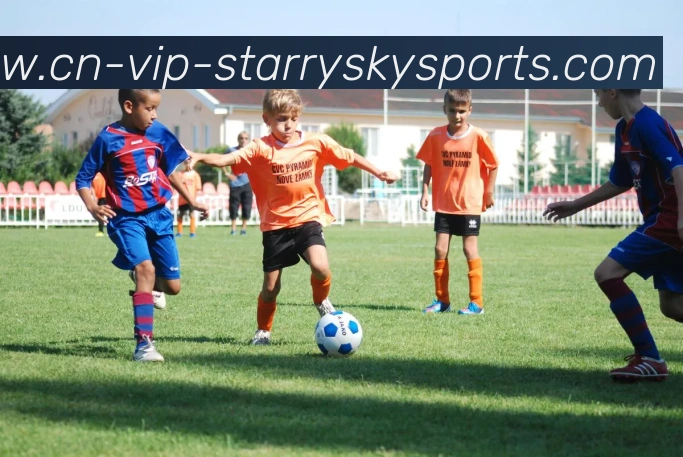 星空体育APP 封面图